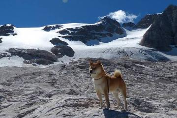 开云体育在线-从24秒到90分钟，体育精神的两种光芒