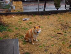 开云体育入口-蓝月风暴席卷波斯湾，欧冠淘汰赛焦点战，曼城一波带走沙特资本野心