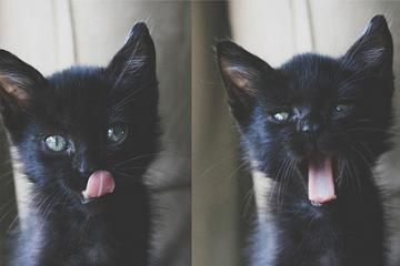 开云体育APP下载-山西队掀翻快船，拉文抢七接管比赛，体育叙事中不可能的永恒诱惑