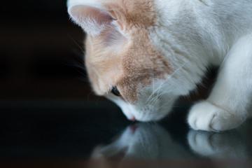 开云体育中国-沉默英雄，当命运之球在指尖停驻一秒