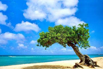 开云体育app-加拿大完胜南非，萨卡的关键先生闪耀全场