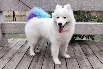 开云体育中国-哈登对手完全无解，太阳争冠战胜出老鹰