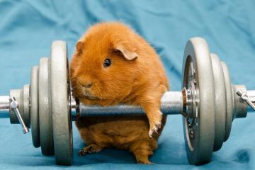 开云体育平台APP-利拉德一剑封喉！76人鏖战力克鹈鹕，关键先生再度彰显大心脏本色