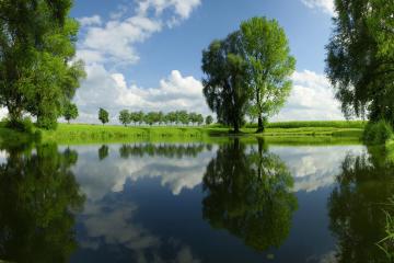 开云体育下载-意甲焦点战，巴萨力克佛罗伦萨，跨联赛对决引爆激情