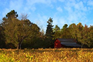 开云体育-双塔奇谋，阿坎吉爆发与马里战术如何拆解克罗地亚战车