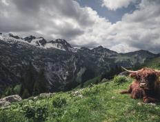 开云体育官方网站-疾风破盾！小贾伦中国行献统治级表现，在移动长城面前正名