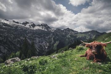 开云体育官方网站-疾风破盾！小贾伦中国行献统治级表现，在移动长城面前正名