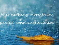 开云官网-奥利维耶闪耀全场，英格兰军团全面压制巴萨