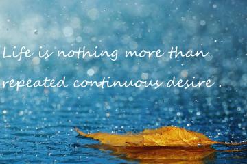 开云官网-奥利维耶闪耀全场，英格兰军团全面压制巴萨