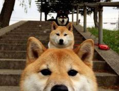 开云平台-跨界英雄，当足球巨星卡塞米罗照亮NBA总决赛之夜