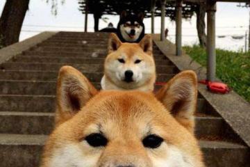 开云平台-跨界英雄，当足球巨星卡塞米罗照亮NBA总决赛之夜