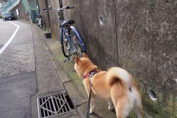 开云体育入口-奥亚尔萨瓦尔一剑封喉，那不勒斯强势晋级彰显王者之气