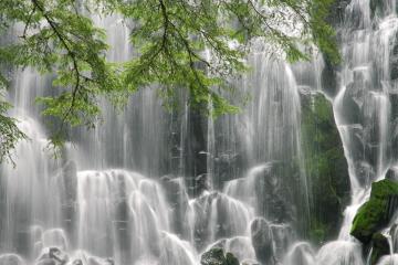 开云体育app-米切尔狂砍40+10打服标靶中心！赛后评分9.9，球迷，他让森林狼防守体系失效