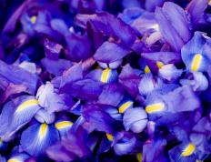 开云体育平台APP-奥运周期关键战，体育博弈中的南非速胜启示，当闪电战遇上持久战