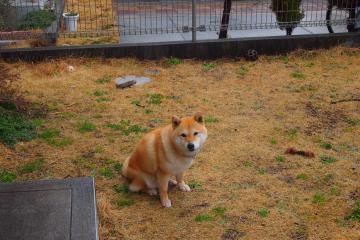 开云体育APP下载-巴尔韦德独造四球引爆全场，厄瓜多尔狂胜显露黑马獠牙