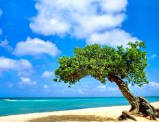 开云体育在线-辽浙大战现东方约基奇，三节打卡让胜负早早失去悬念