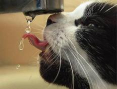 开云APP-钢铁之心，奥利维耶的绝境爆发与救赎之路