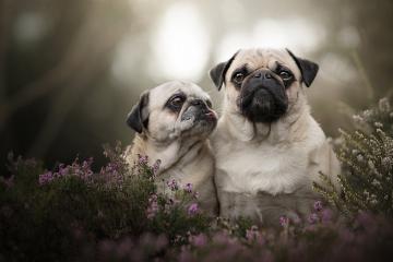 开云体育登录-巴西飓风席卷巴黎！维尼修斯单兵打爆尼日利亚整条防线