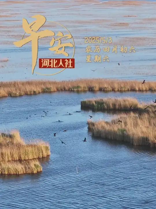 开云体育-猛龙擒维奇，失去榜首位置但状态逐渐回升的简单介绍