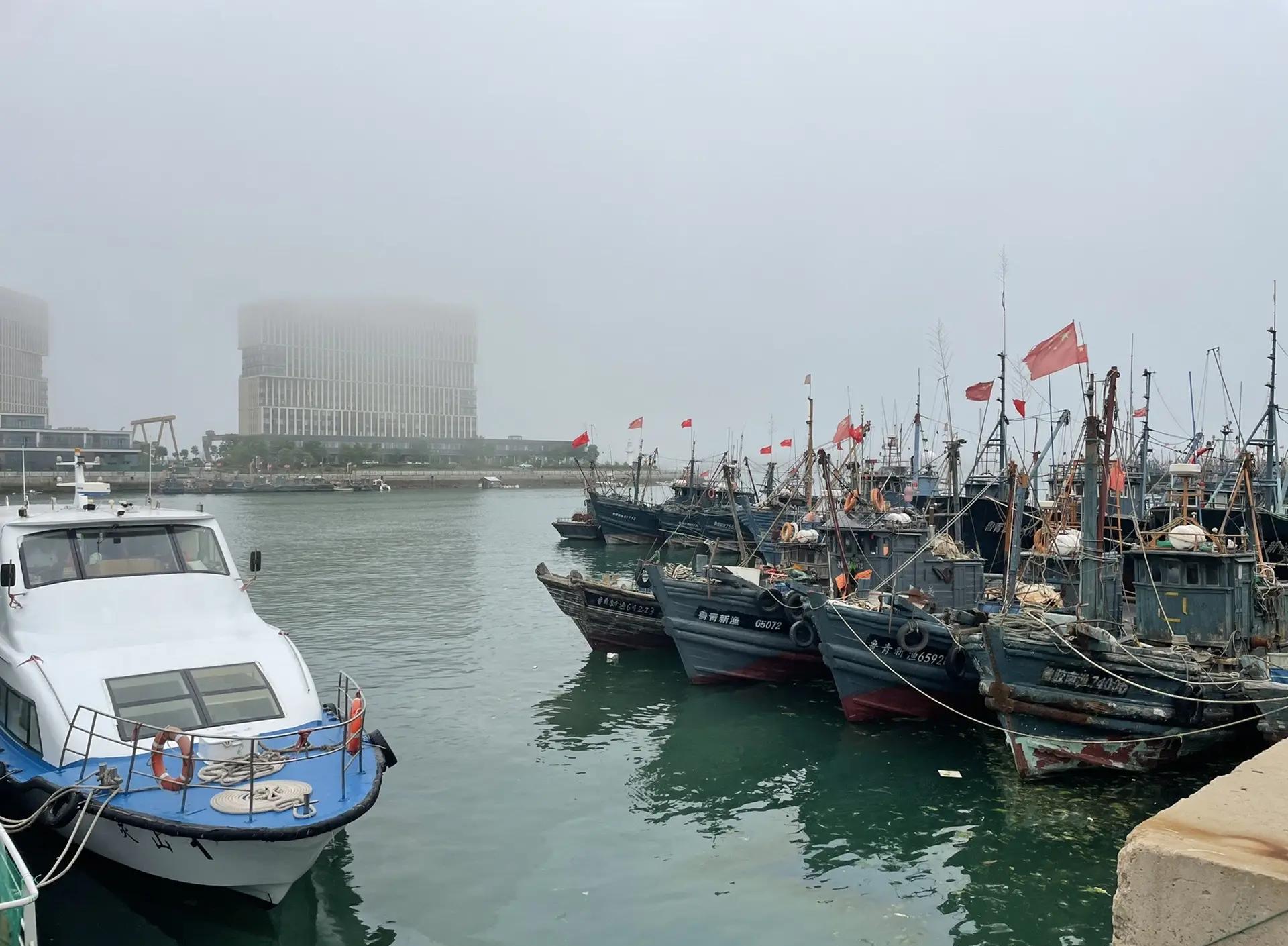 开云体育下载-青岛黄海表现出色，取得连胜继续冲击前列的简单介绍