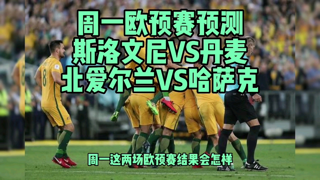 开云体育官方网站-包含丹麦力克北爱尔兰，欧预赛总结完毕的词条
