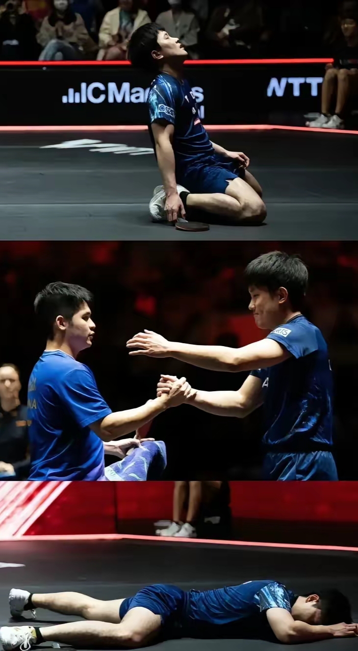 开云体育官方网站-波兰队横扫中国队,张本智和扛起全队