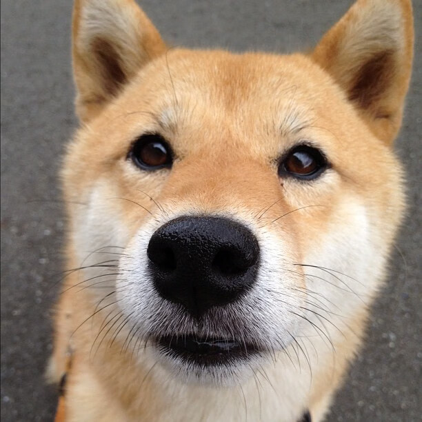 开云体育登录-湖人主场爆冷吉林队,贝恩在美加墨世界杯的接管哲学,强者恒强的幻觉与破碎