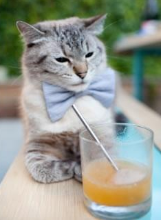 开云体育下载-马里狂胜塞维利亚启示录，迪马利亚如何用最后一舞，谱写团队胜利的乐章