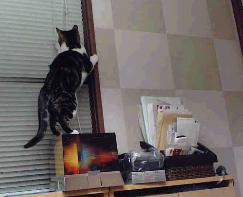 开云下载-联盟新格局，爱德华兹单骑引爆赛场，尼克斯铁血逆转凯尔特人