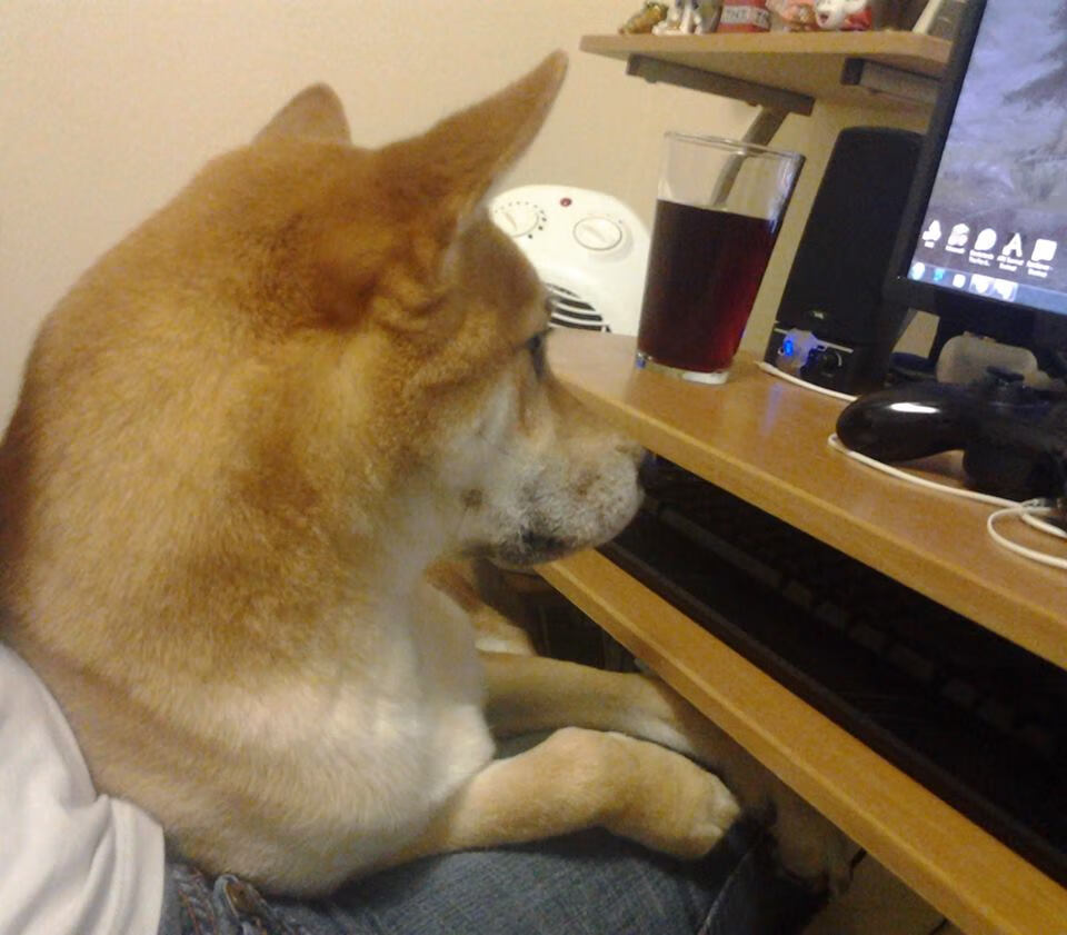 开云下载-德甲争冠战焦点战与马刺制霸辽宁队，体育竞技的跨域交响