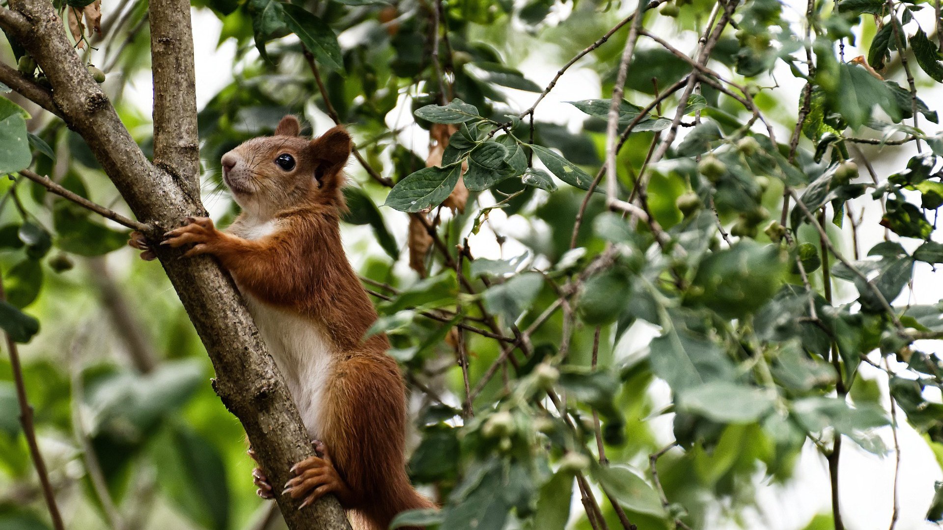 开云体育官网-2026世界杯之夜，切特关键战不手软