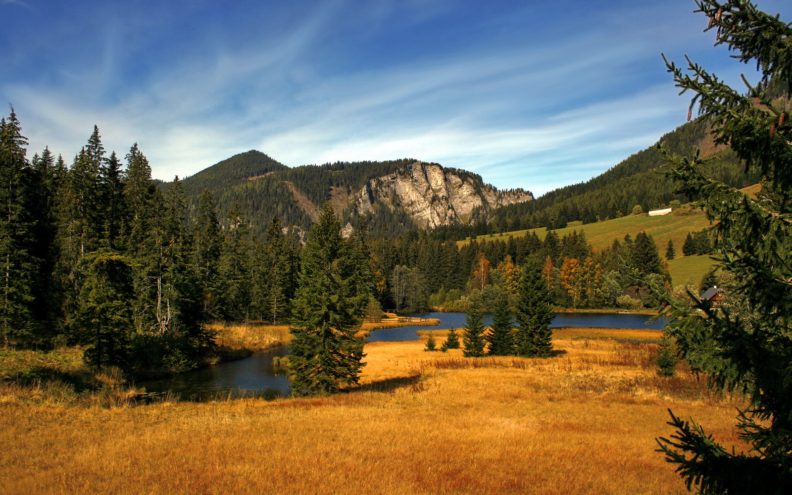 开云APP-恩佐神灯重燃，跨越大洋助新西兰上演黑马童话