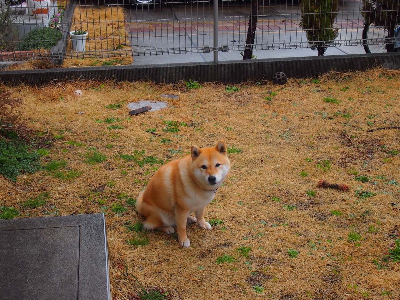 开云体育入口-蓝月风暴席卷波斯湾，欧冠淘汰赛焦点战，曼城一波带走沙特资本野心