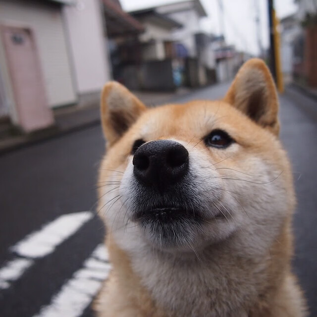 开云体育官方网站-绿茵与硬木的战术交响,当世界杯焦灼遇上凯尔特人的压制艺术