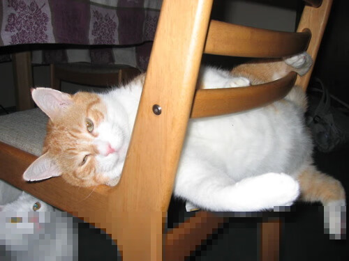 开云体育下载-终场强音，雷恩强行终结佛罗伦萨，奥斯梅恩在年度焦点之战接管比赛