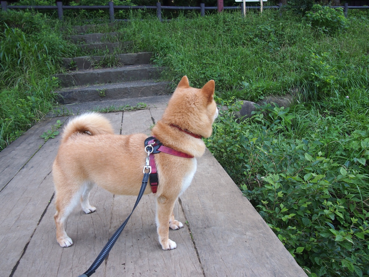 开云体育平台APP-比利亚雷亚尔对阵巴黎圣日耳曼，李刚仁赛后评分拉满，韩国天才主宰欧战舞台