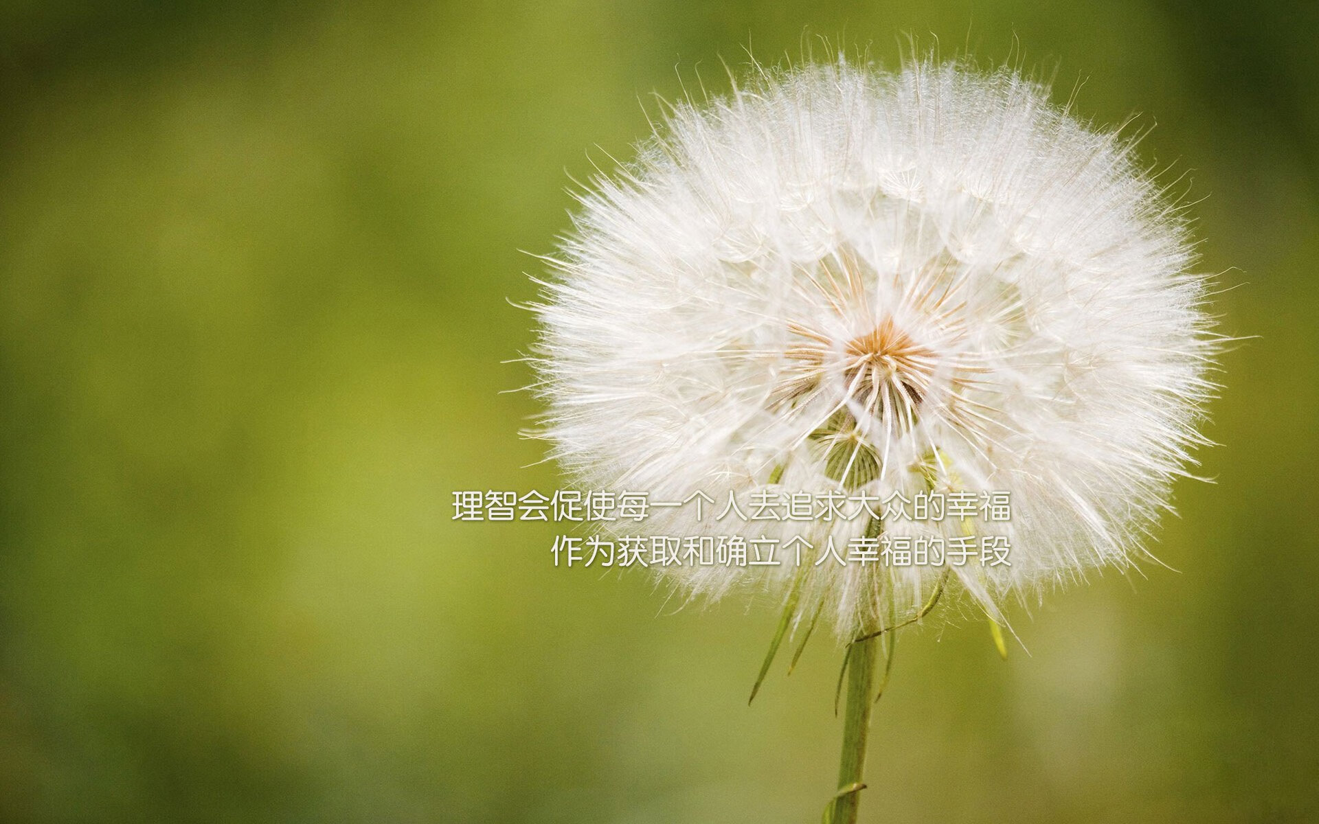 开云官网-南美智慧与非洲雄鹰的对决，欧冠淘汰赛上演委内瑞拉式战术压制，几内亚黑马征程戛然而止