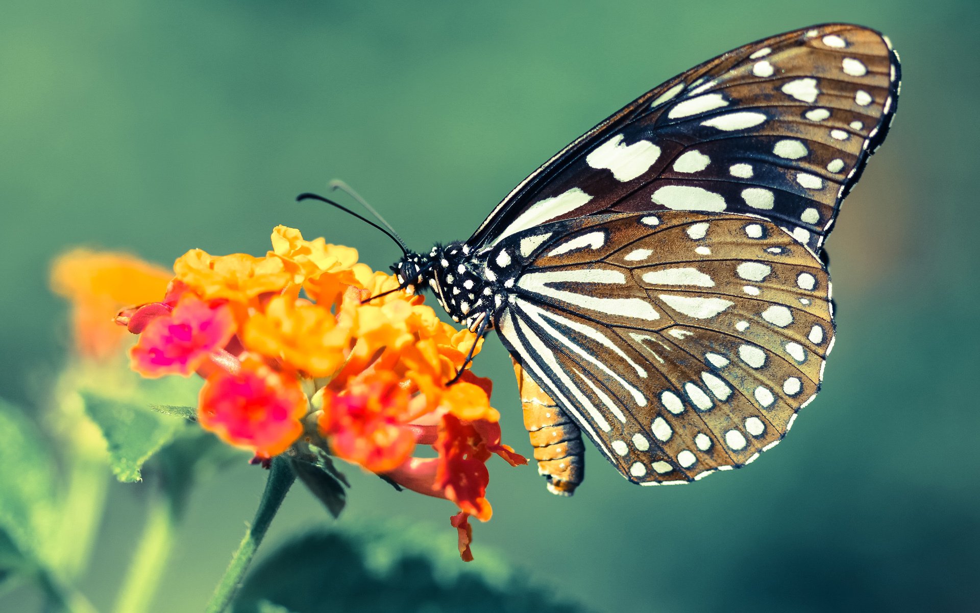 开云体育中国-灰熊强势击溃火箭,哈登全场最佳无争议