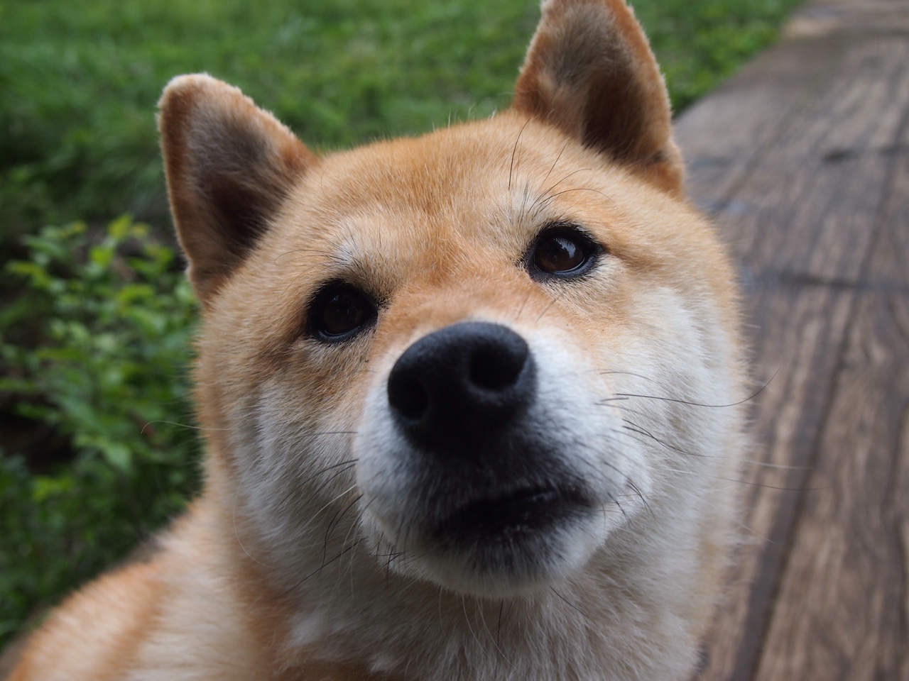 开云体育平台APP-波罗的海的烙印，当巴斯托尼在多特蒙德的黄黑墙前，带领波兰客场取胜