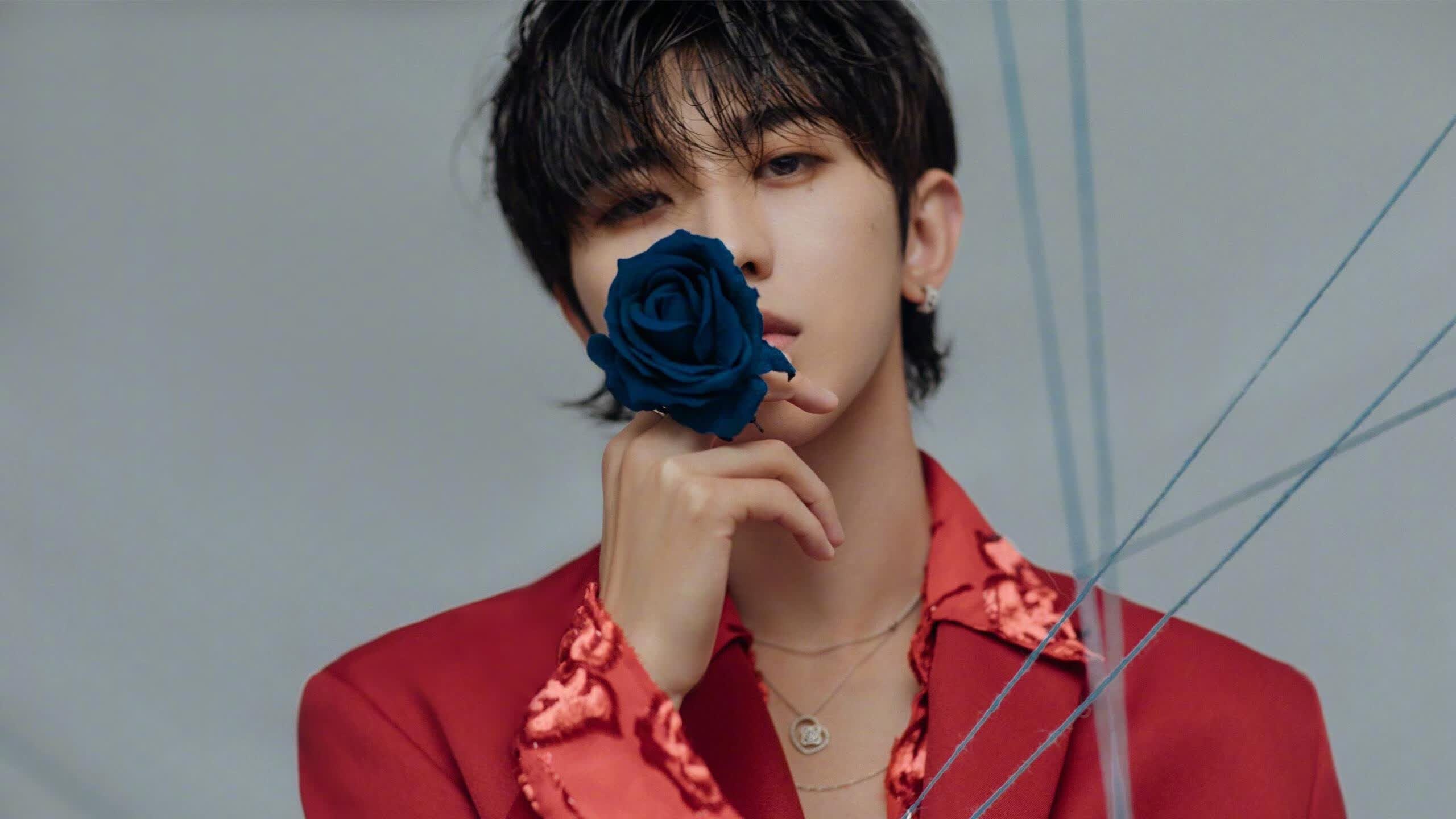 开云官网-双线交响曲，莱比锡的节奏魔法与阿劳霍的英超接管时刻